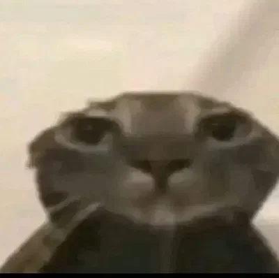 Dunno why I made bro