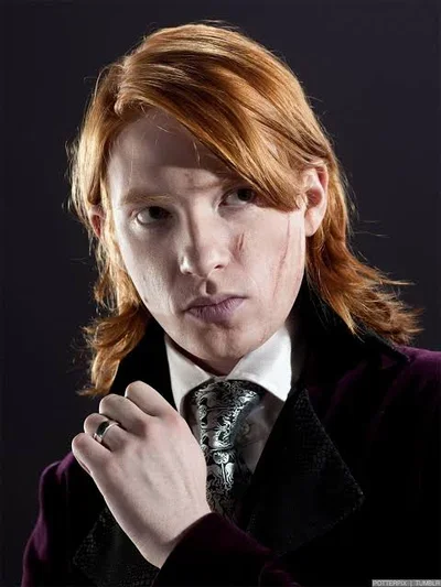 Bill Weasley