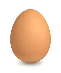 egg