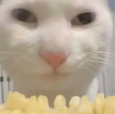 Erm...