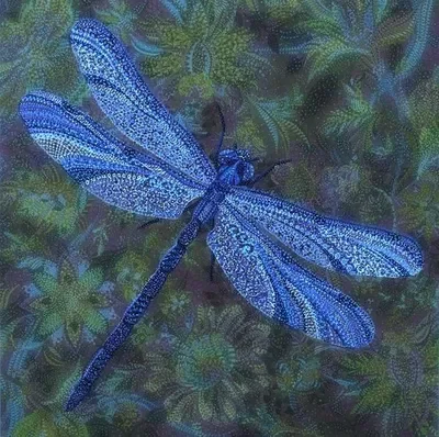 Ethan - DRAGONFLY THERIAN