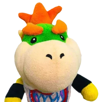 Bowser Junior