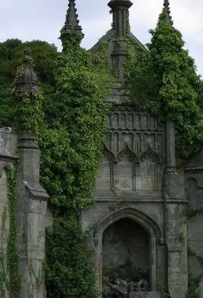 FangTide academy