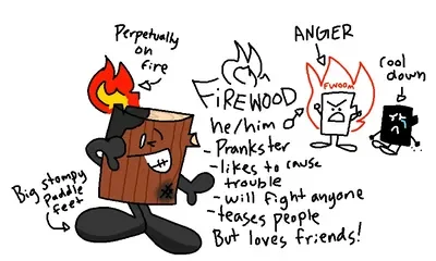 Firewood