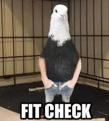 fit check