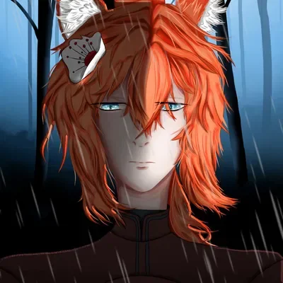 Fox boy