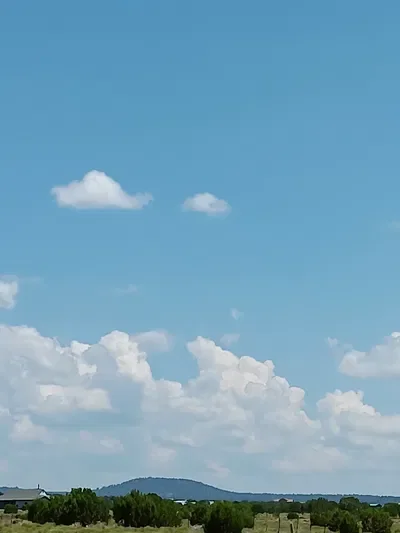 Free chat, do whatever