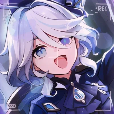 ✮⋆˙ Furina