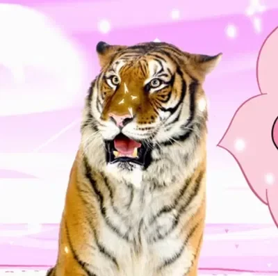 Giant Realistic Flying Tiger  \\  Uncle Grandpa