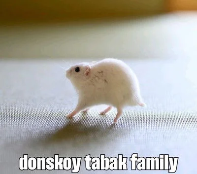 Girlfriend provided by government