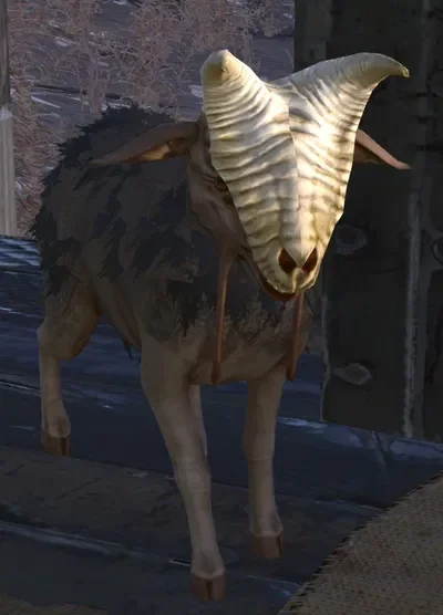 Goat from kenshi