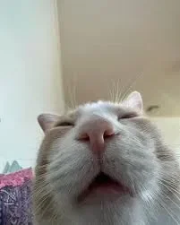 Going on a break (Burnout)