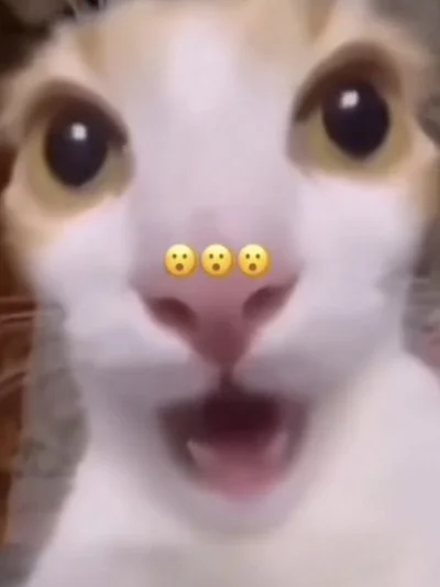 gurglebu?