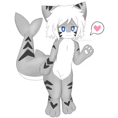 Tiger Shark
