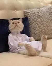 ℍ𝕒𝕝𝕒𝕝 𝔹𝕣𝕠𝕤𝕜𝕚