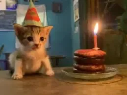 Happy birday to me
