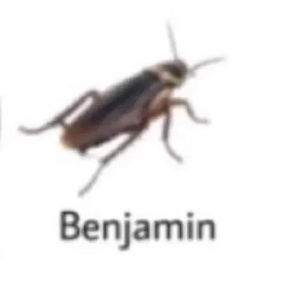 HELP PLZ i need yall 😔