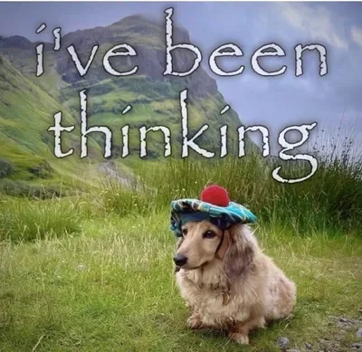 hey.
