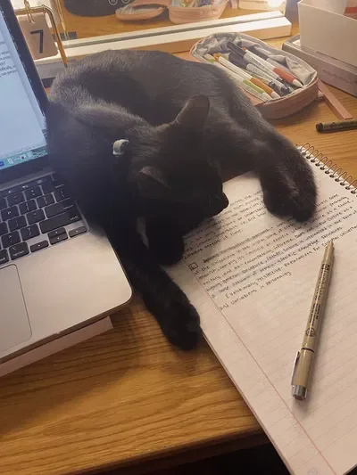 Highschool sweethearts ⋆۶ৎ . ݁₊ 🦢 . ݁˖ 𝜗𝜚˚⋆