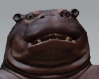 hippo