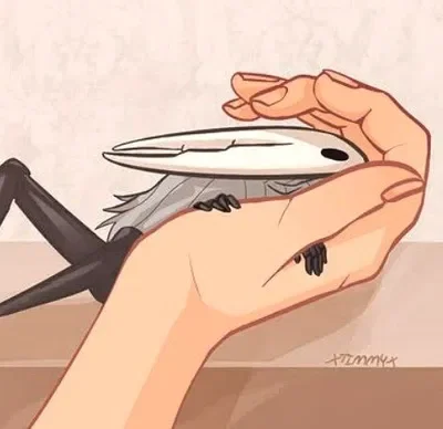 🪲🤍|Hollow [Hollow Knight]🤍🪲