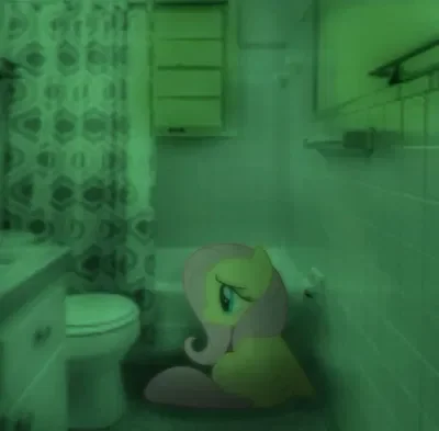 How did you end up here?