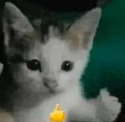 I can't see notifications sometimes </3