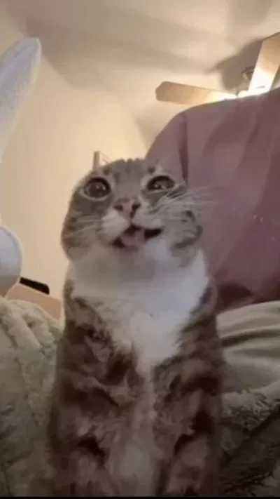 I hate my schedule bruh