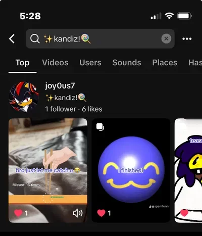 i have a tiktok now