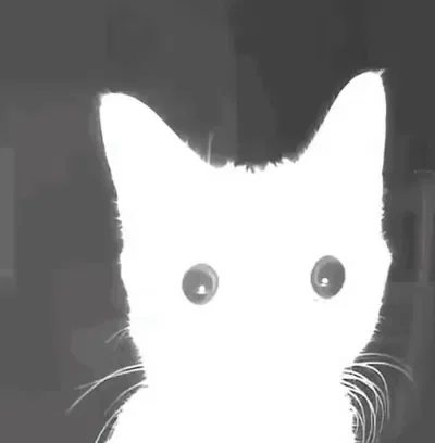 I need bot ideas,,,