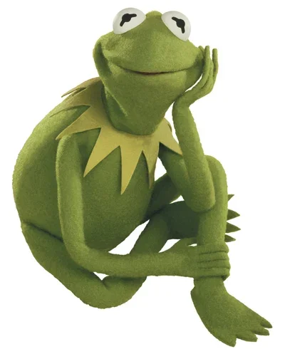 Kermit the frog