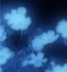 I'm back :) (READ DESC)