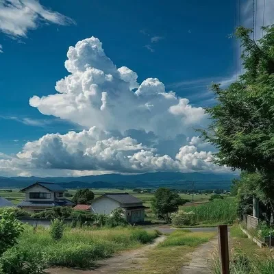 Important announcement!