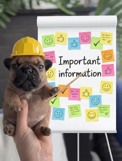 Important information