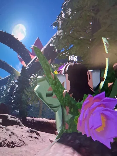Interview lilly lotus!