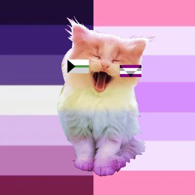 Italian gay cat