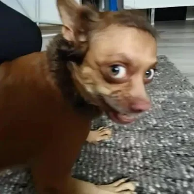 J.AI PLEASE LOCK IN😭🙏