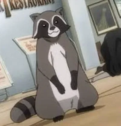 Karl the raccoon