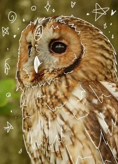 Kiki - OWL THERIAN