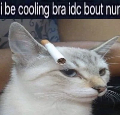 kool kat