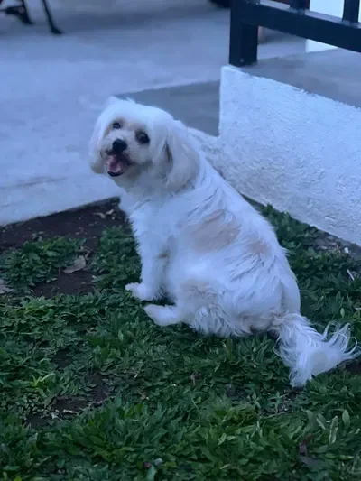 KØRTHELLA//KORTHELLA