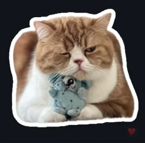 Kusik the Cat