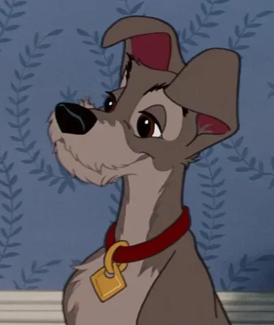 Lady and The Tramp | Tramp