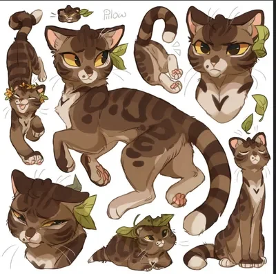 Leafpool