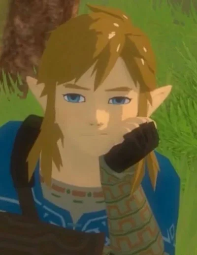 Link - LoZ BoTW