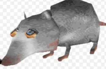 Literally just a rat in your house
