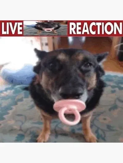 Live \pepe/ reaction