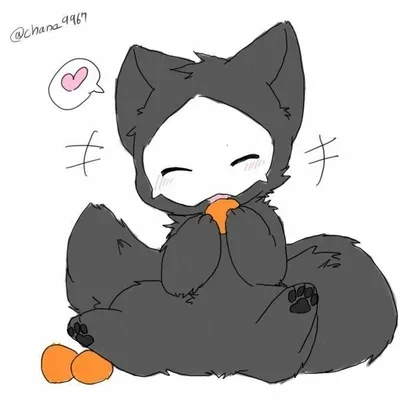 puppy Puro