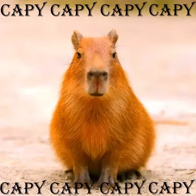 Magic Capybara