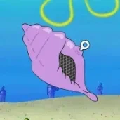 magic shell